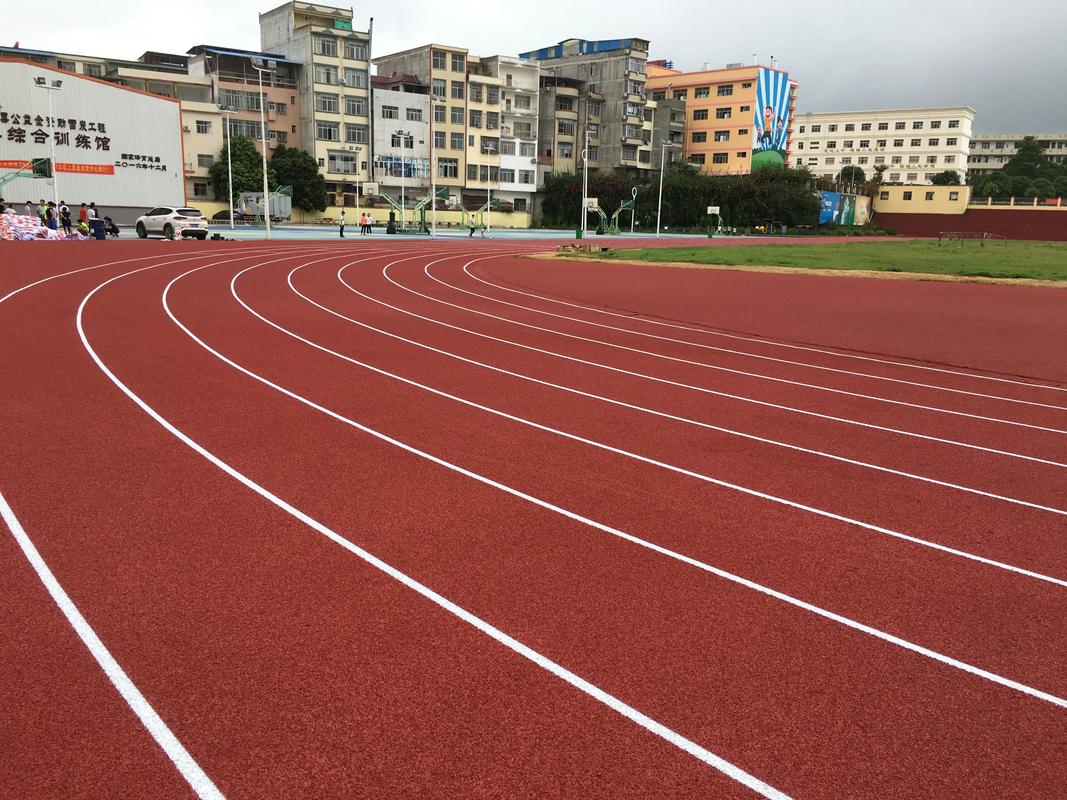 鄂尔多斯市硅PU材料塑胶跑道材料 - 厂家